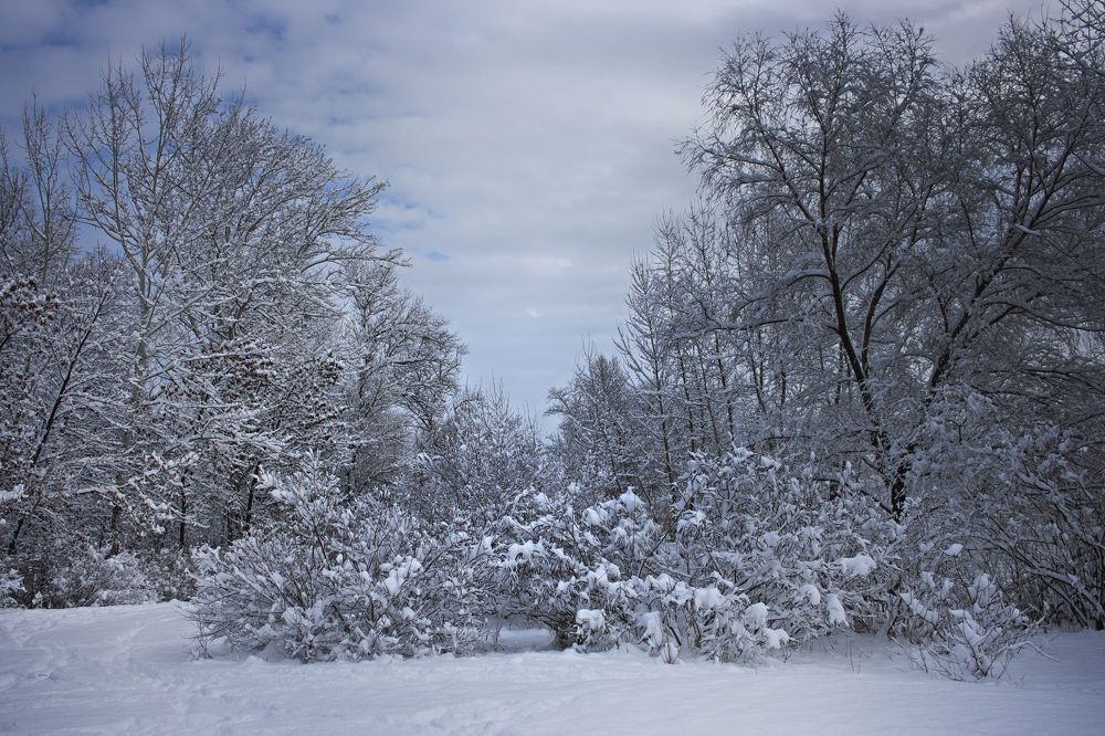 Photograph by Нелли