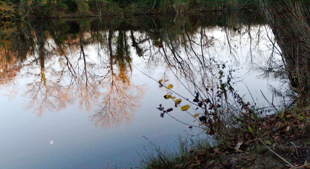 Photograph by michel olive