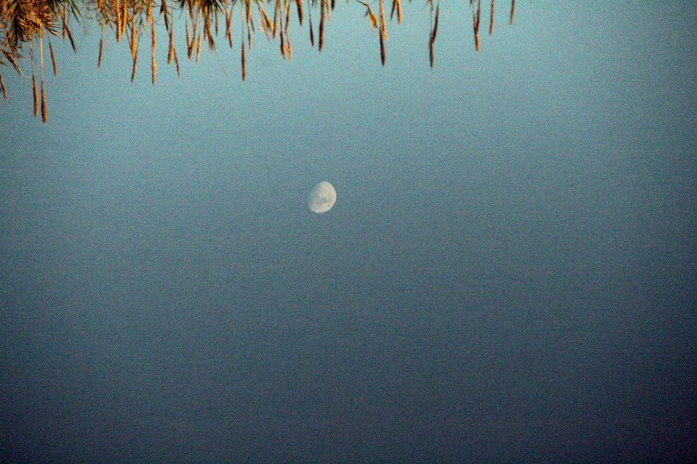 Photograph by michel olive