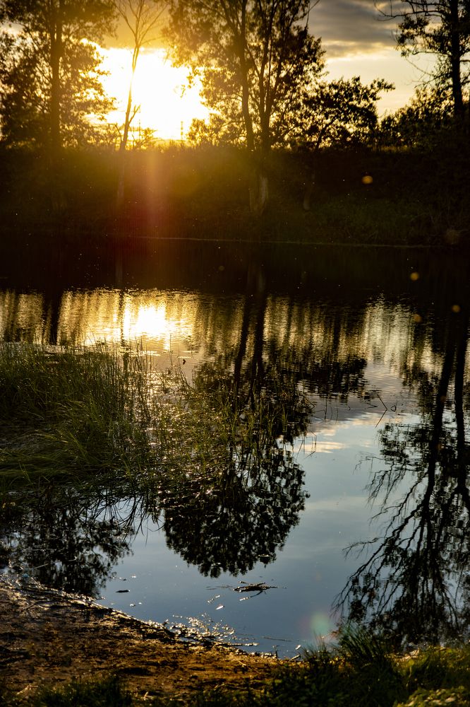 Фотография автора Павлов Дмитрий