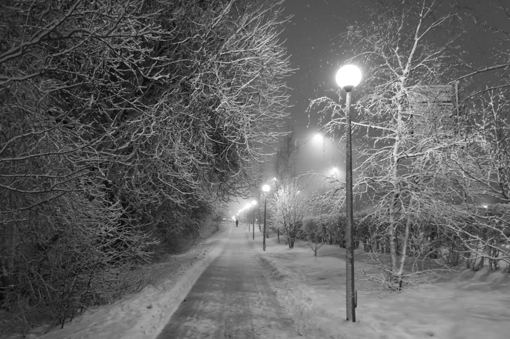 Photograph by Елена Брынько