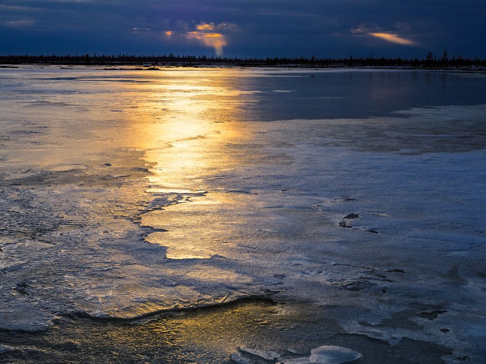 На зимнем болоте.