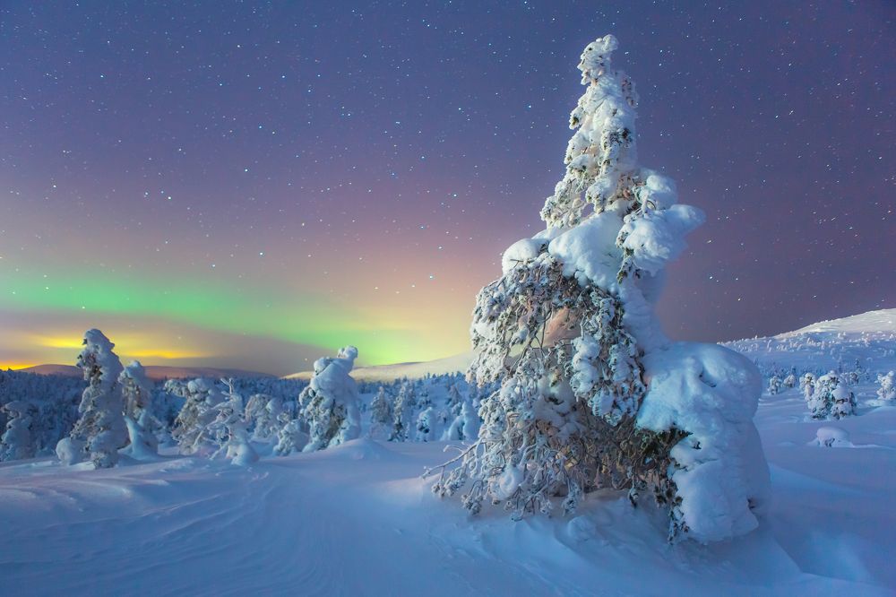 Photograph by Алексей Новиков