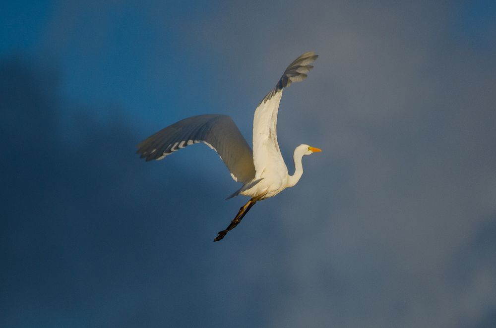 Photograph by Arturs Spilbergs