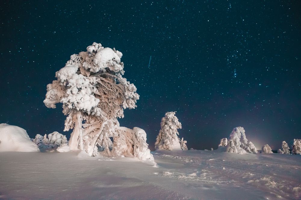 Фотография автора Алексей Новиков