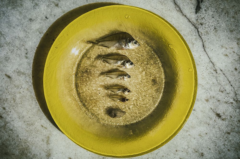 Photograph by Carlos Kiffer