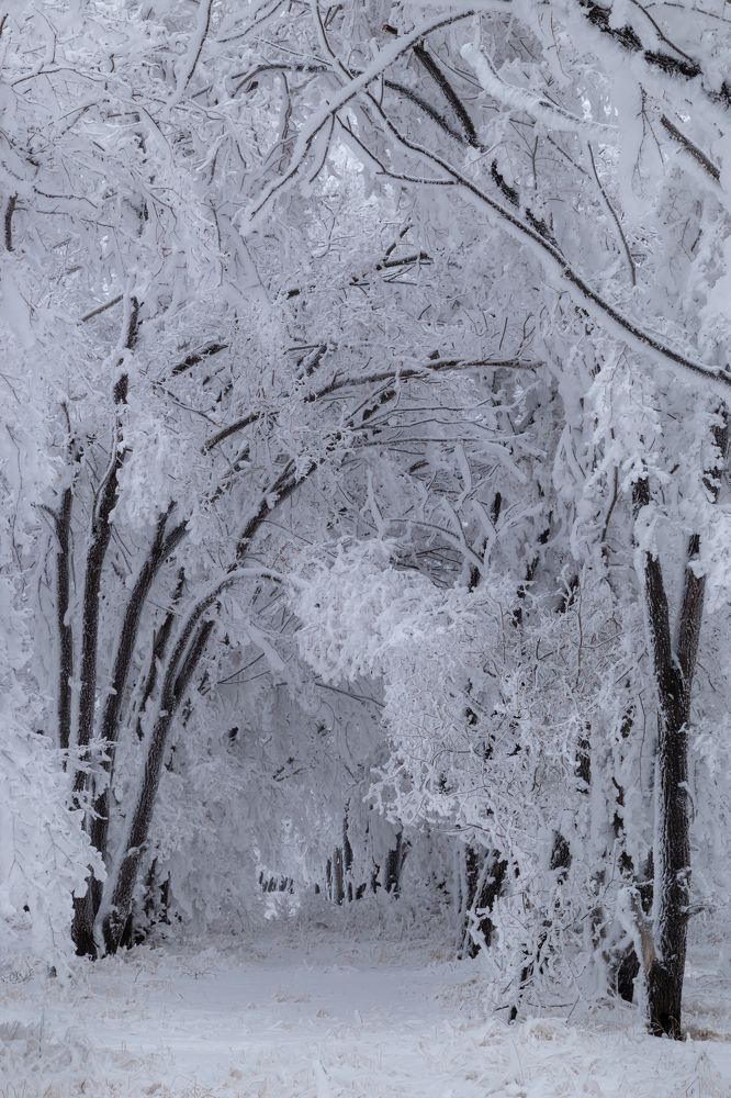 Photograph by Марина Новожилова