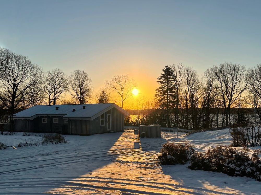 Photograph by Lila Sabbaghian Rad