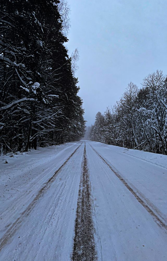 Photograph by Максим Комиссаров