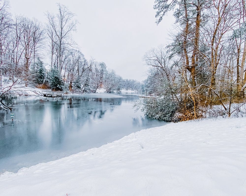 Photograph by Lisa Watkins