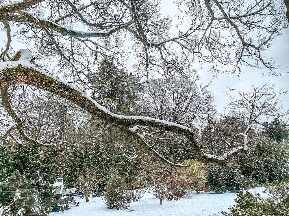 Photograph by Lisa Watkins