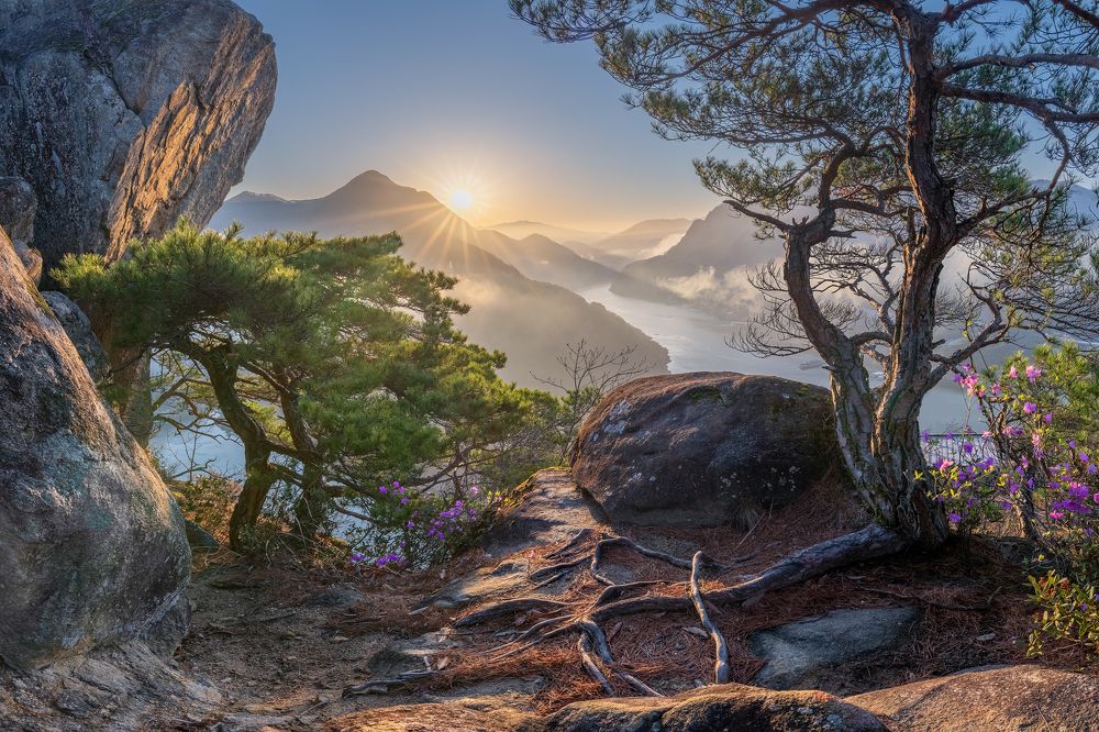 Spring, elements of life