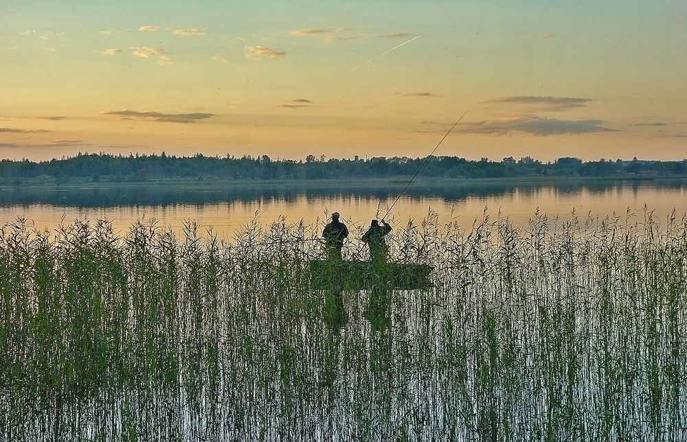 Photograph by IRINA KORNEVA