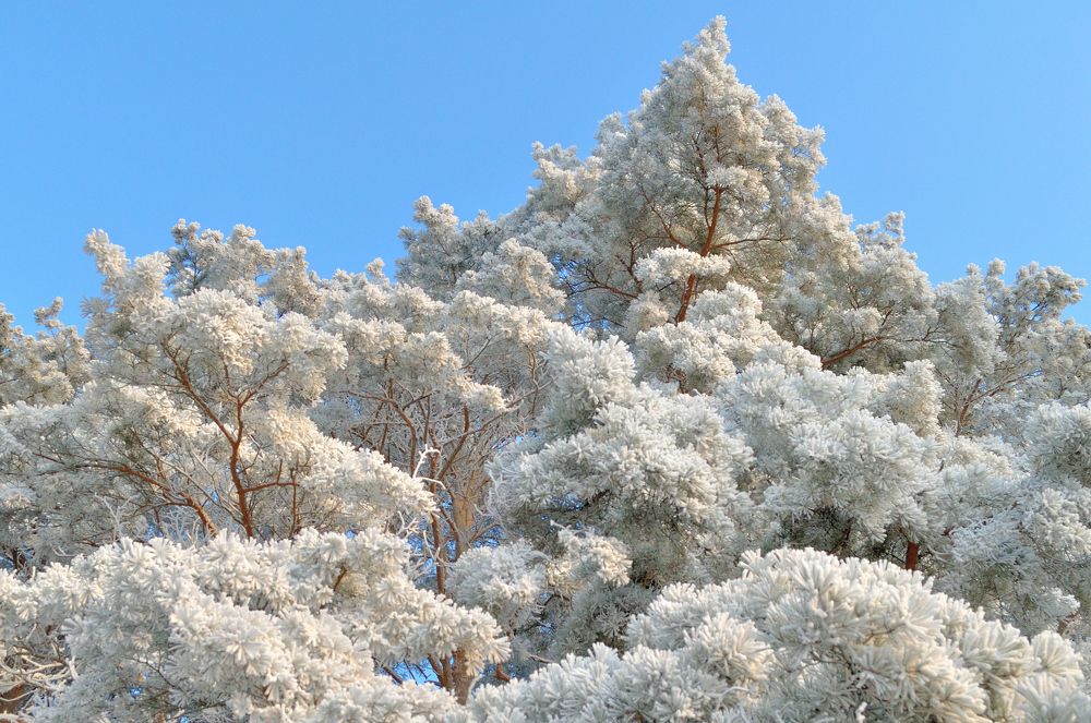 Photograph by Евгений