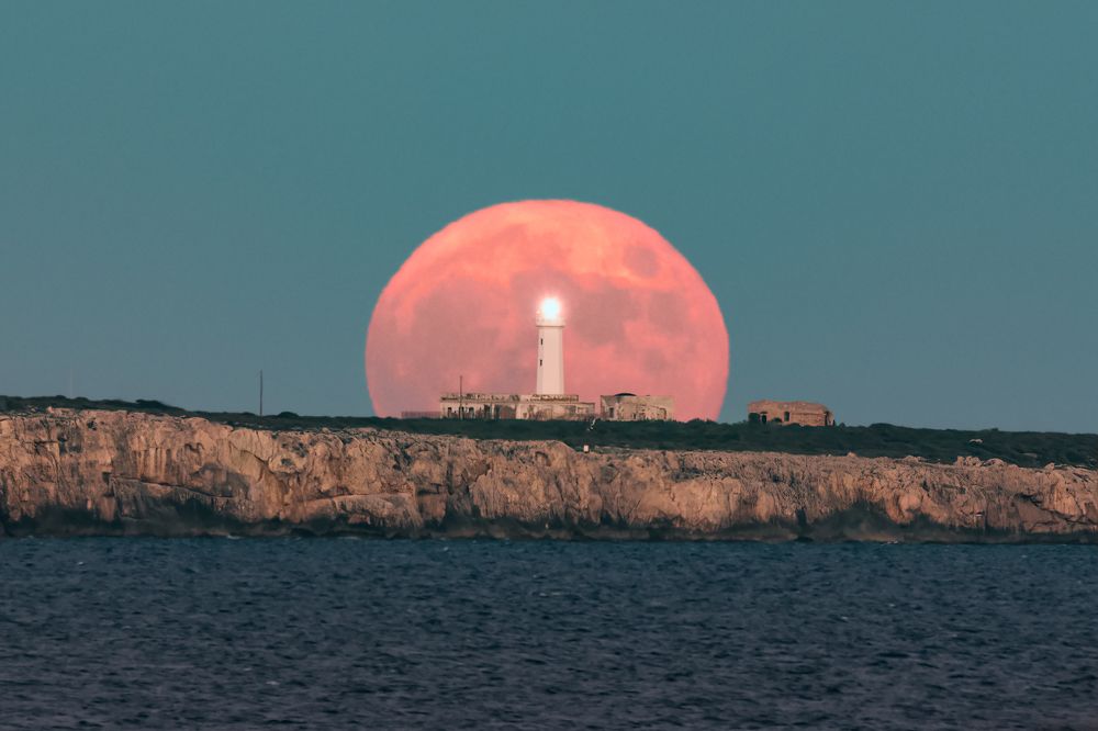 Photograph by Massimo Tamajo