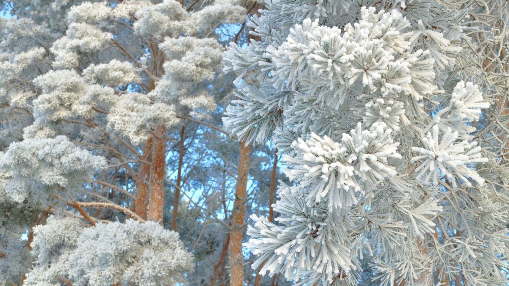 Photograph by Евгений