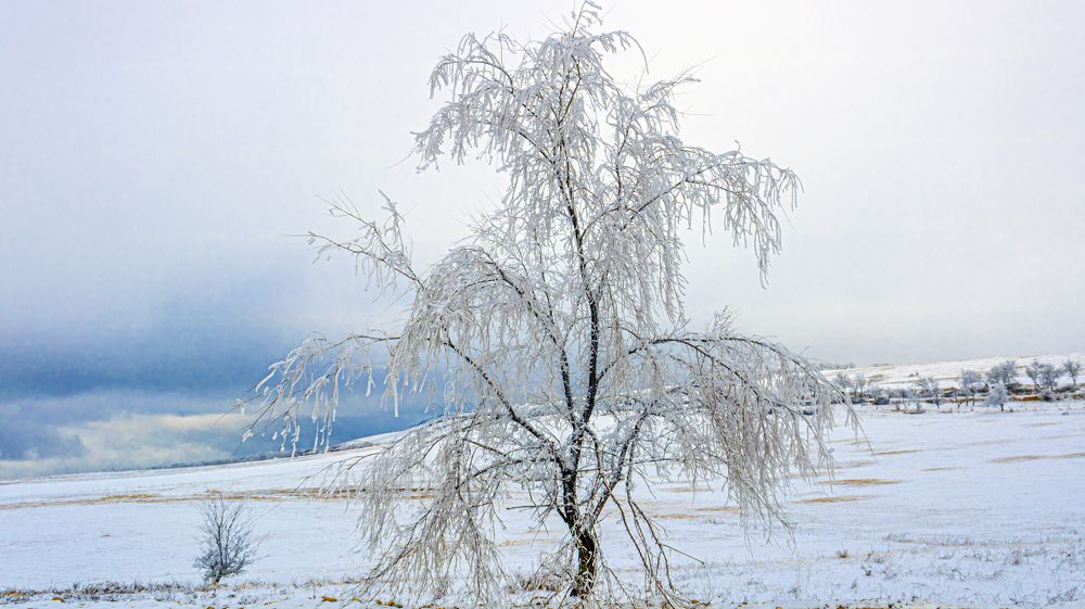 Photograph by Alex Kalpus