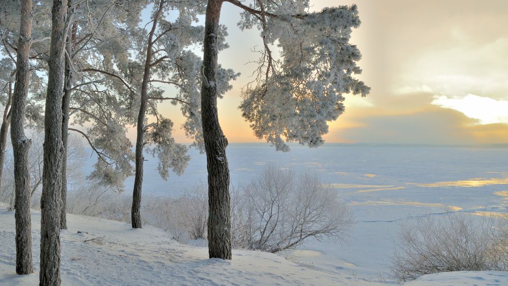 Photograph by Евгений