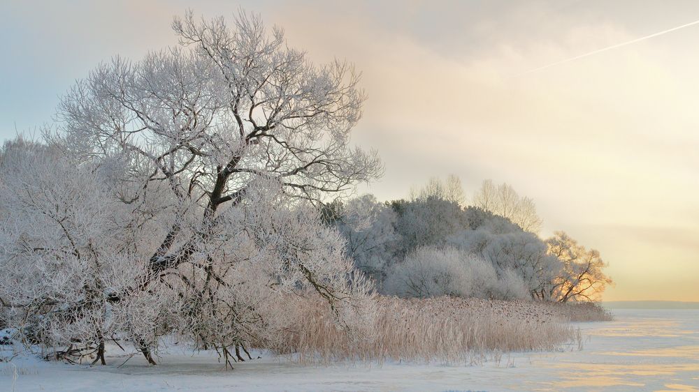 Photograph by Евгений