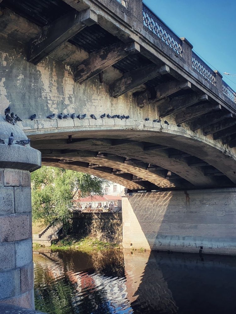 Photograph by Дьяченко Нина