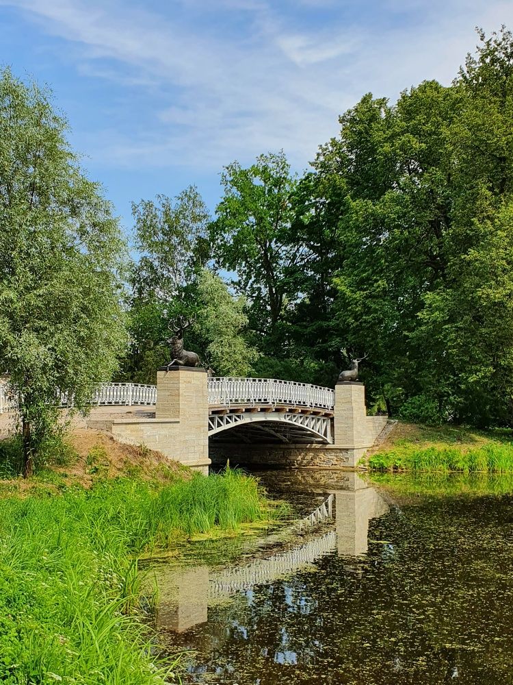 Photograph by Дьяченко Нина