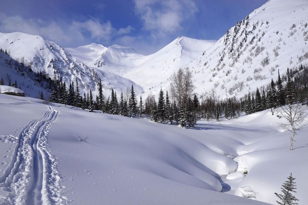 Фотография автора Татьяна Добровольская