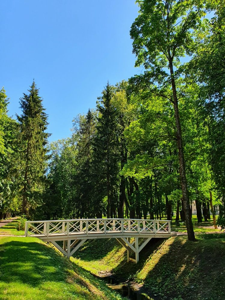 Photograph by Дьяченко Нина