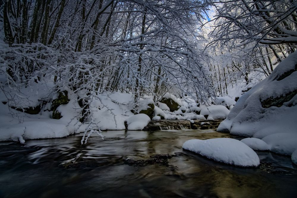 Photograph by Dino Sirica