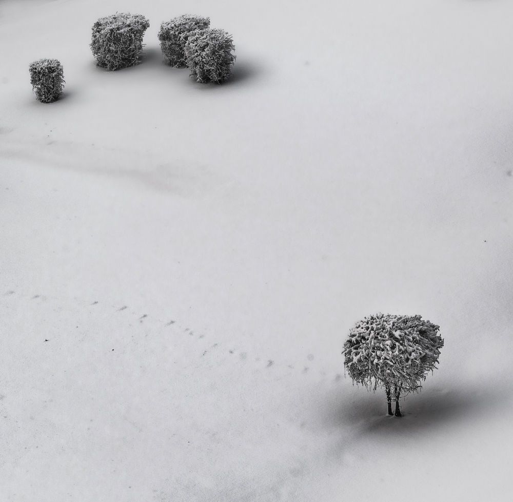 Photograph by Валерий Туманов