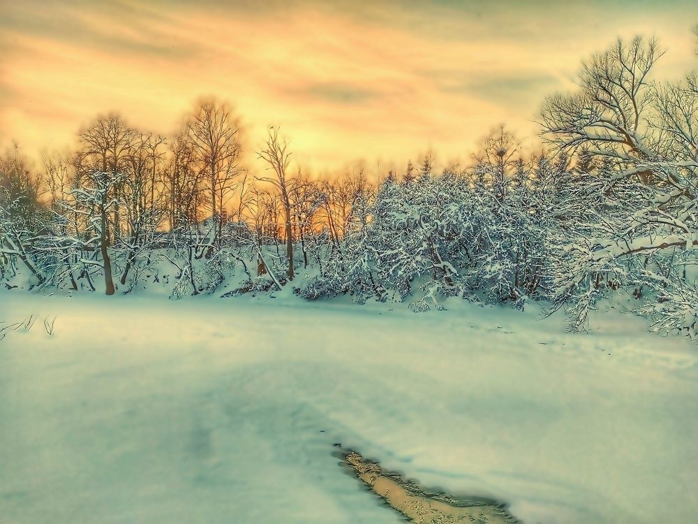 Photograph by vladimir