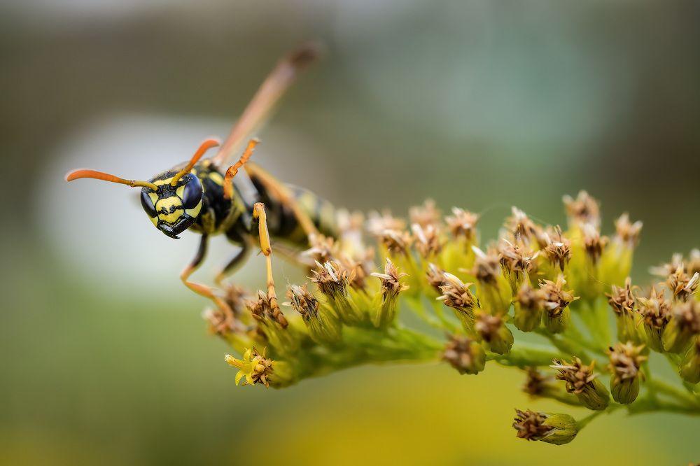 Photograph by Сергей Пестерев