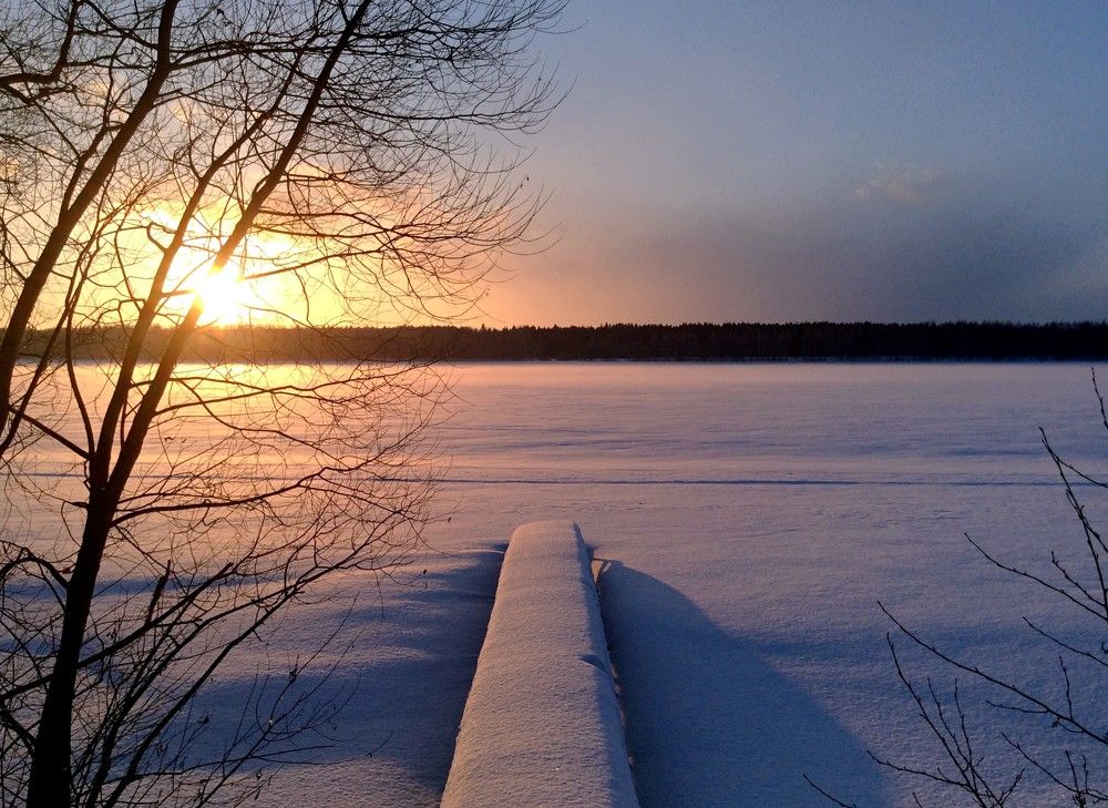 Фотография автора Марина Горбулина