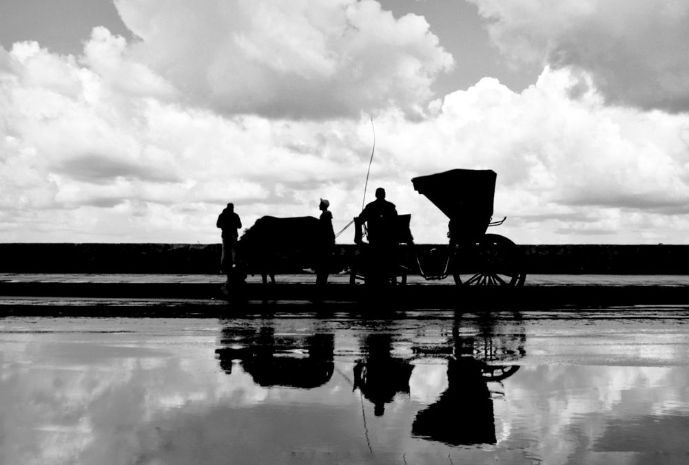 black and white and reflection