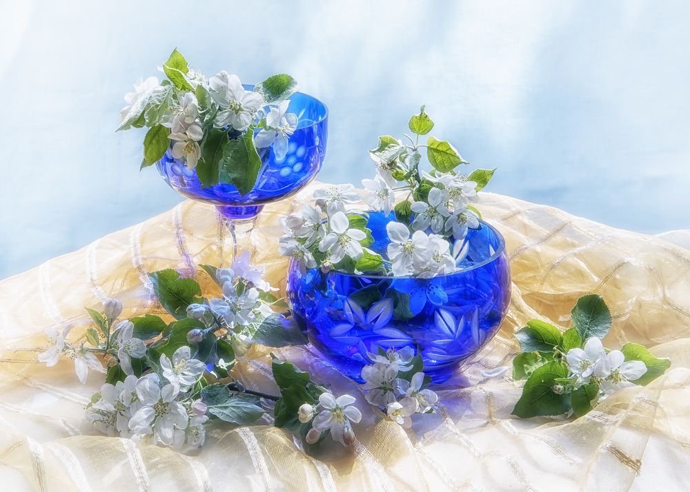 Photograph by Кравченко Юлия