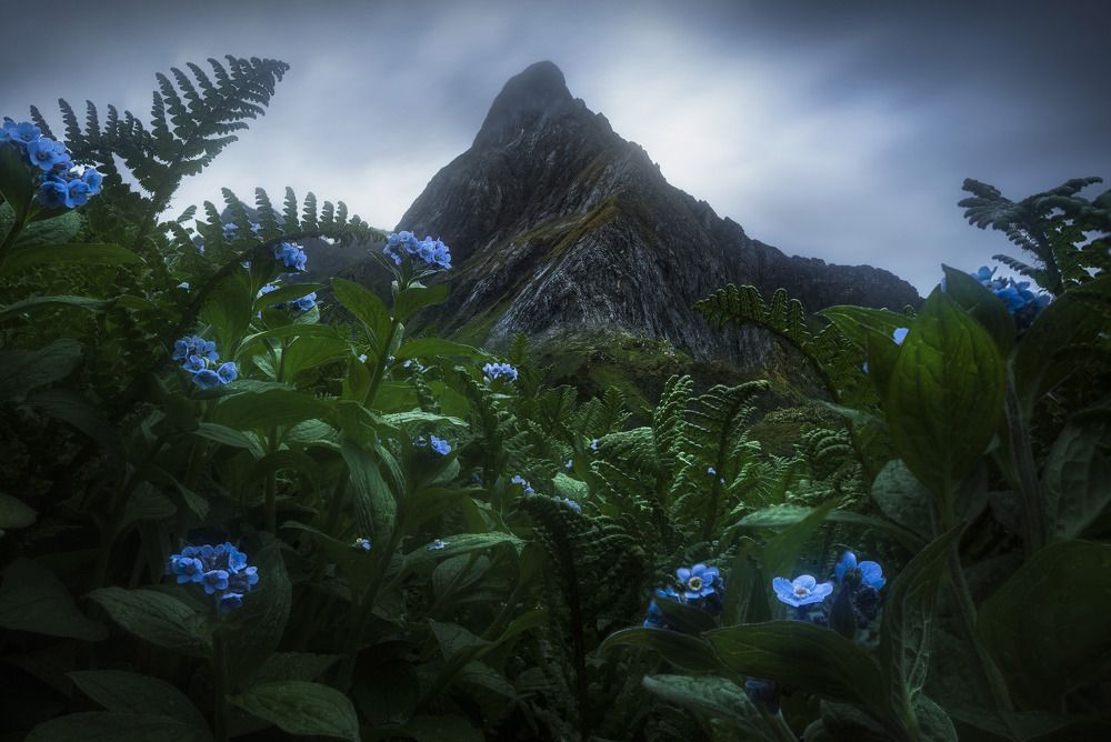 Photograph by Zao Yanming