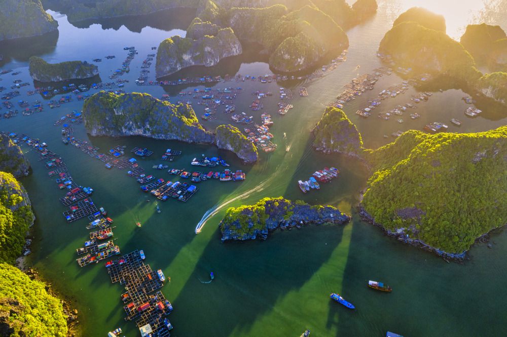 Photograph by Dung Pham