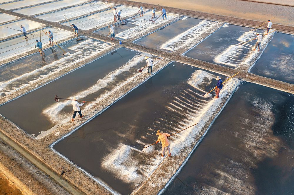 Photograph by Dung Pham