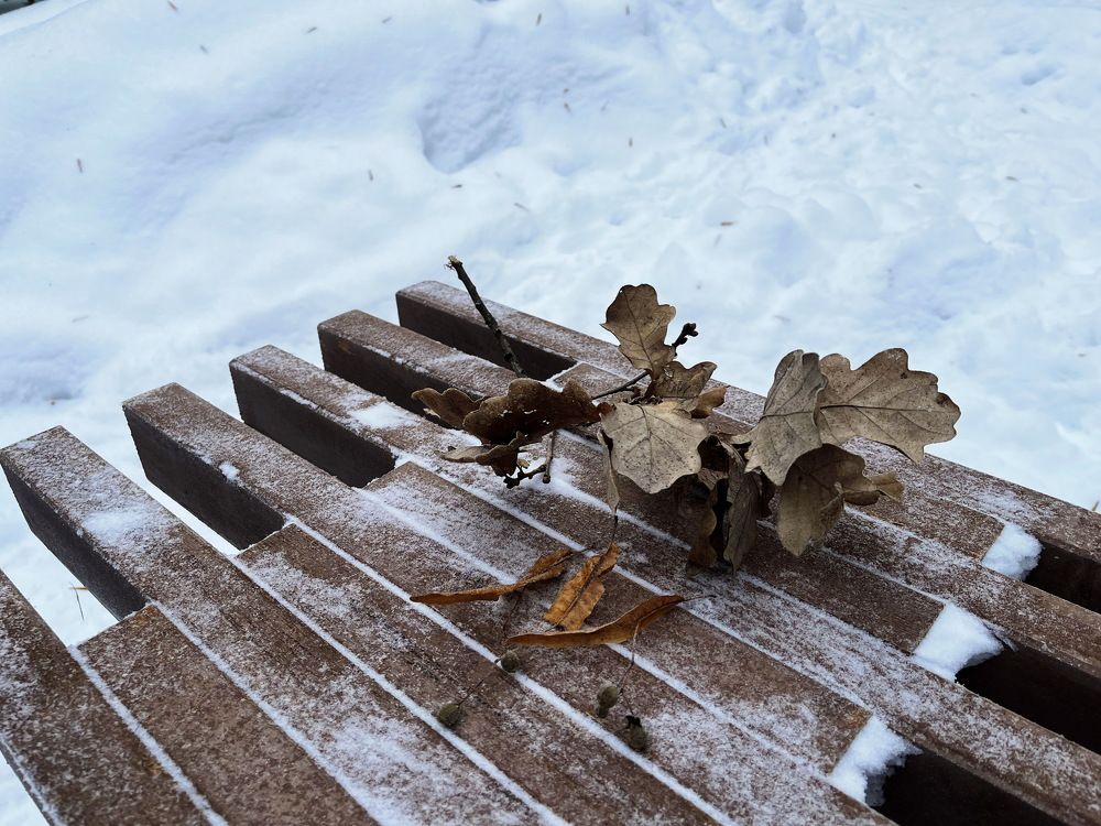 Зимний натюрморт ... Удельный...СПб...!)