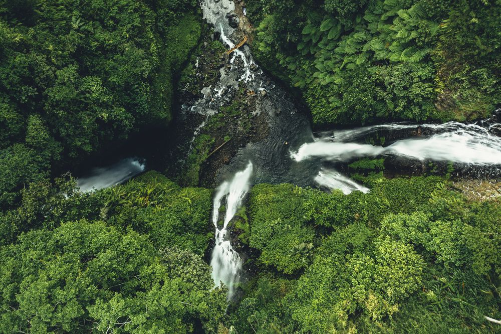 Photograph by Alexey Nikitin