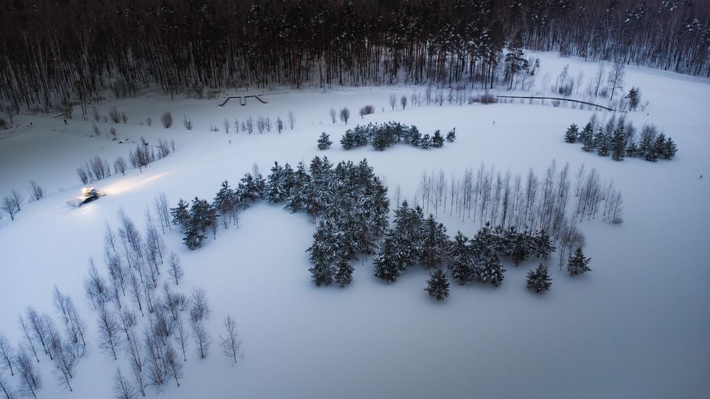 Мещерский парк покрытый снегом.
