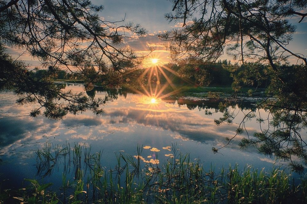 Вечерние отражения