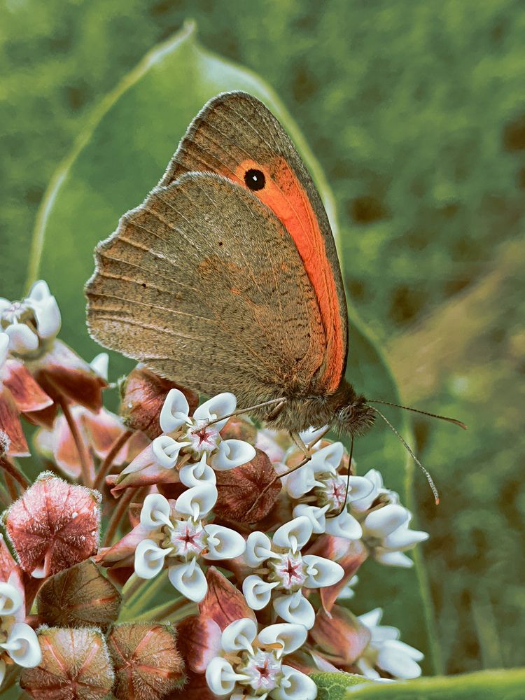 Photograph by Margarita Bovt