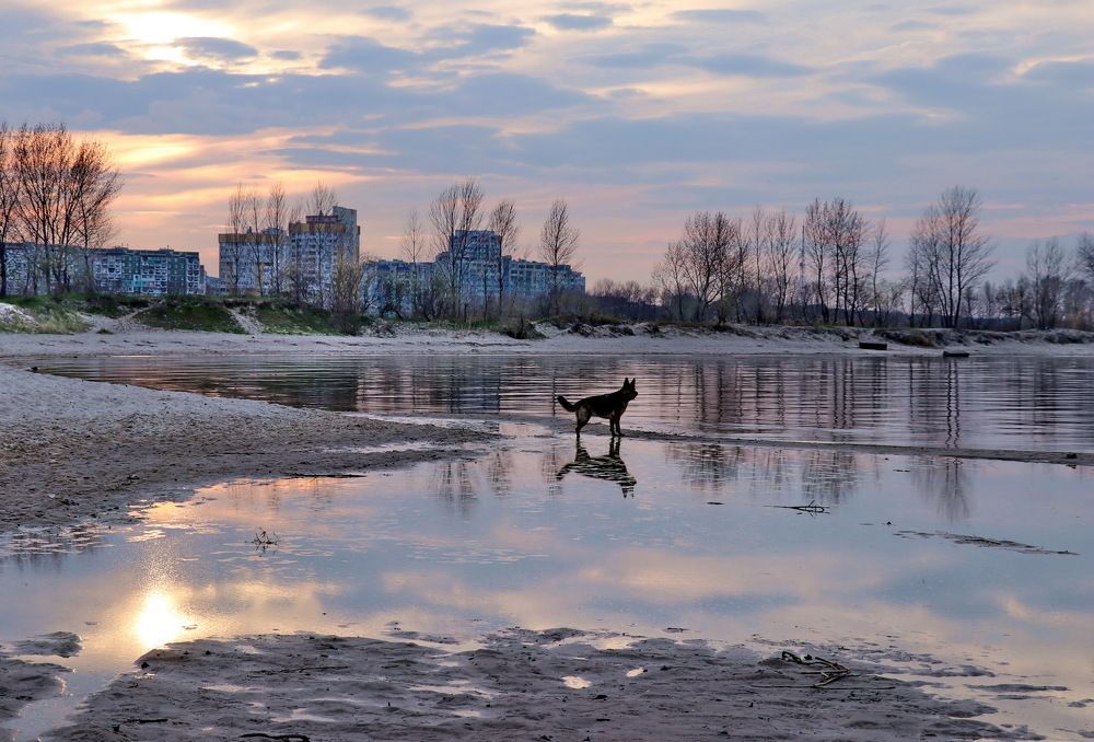 Photograph by Владимир Подкуйко