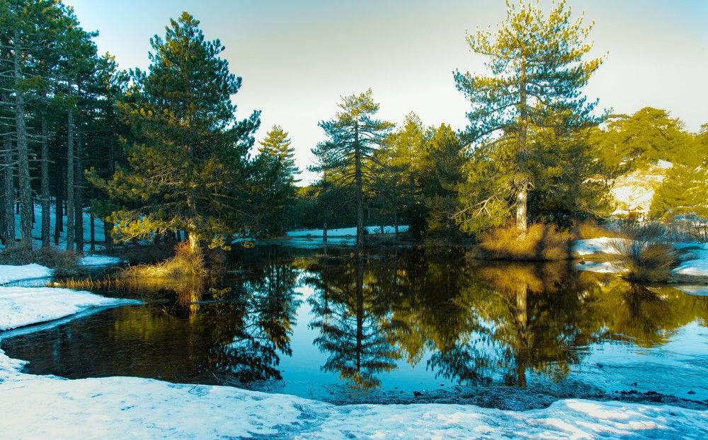 Photograph by Ognyan Levashki