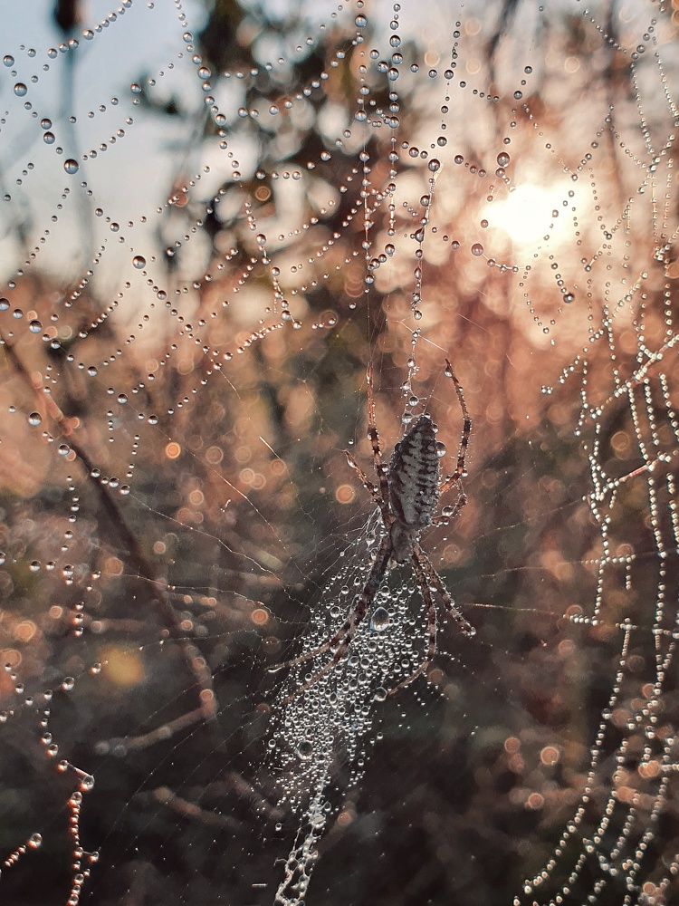Photograph by Margarita Bovt