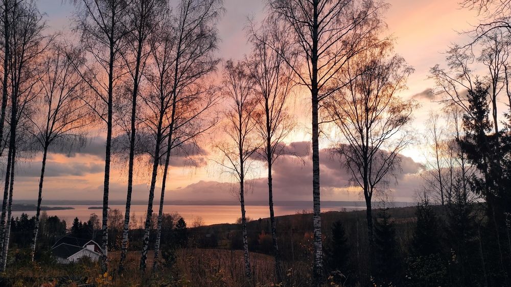 Photograph by Zanna Stalidzāne