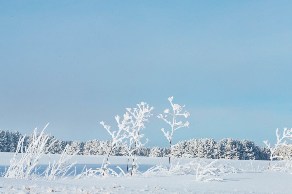 Photograph by Андриян Чаркин