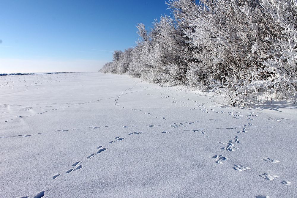 Photograph by Юрий Варюхин