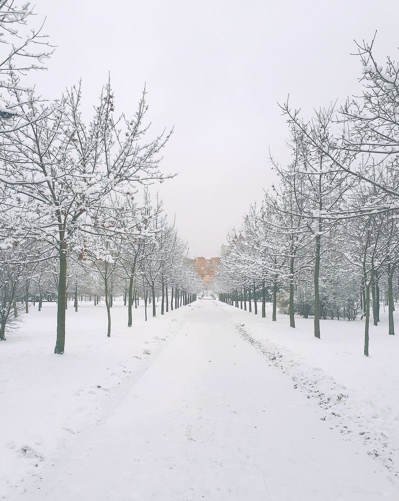 Photograph by Наталья Шалкевич