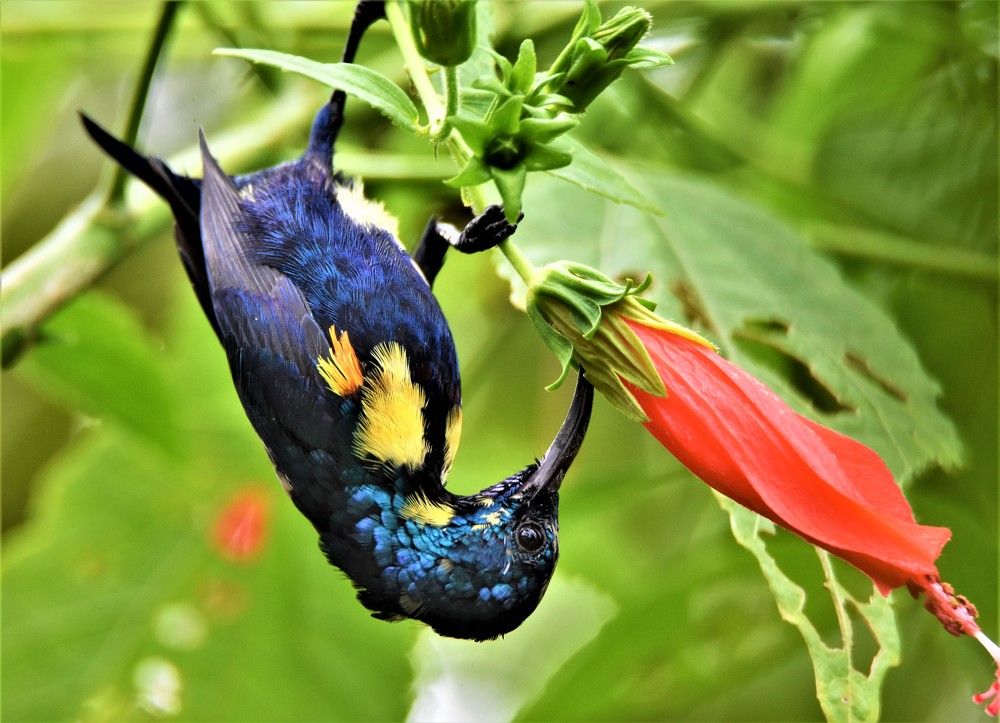 Photograph by Kushal Sharma